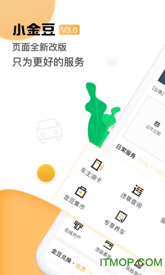 小金豆