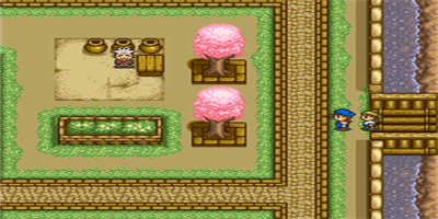 牧场物语：矿石镇的伙伴们