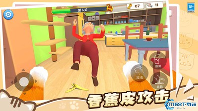 肥猫爱拆家