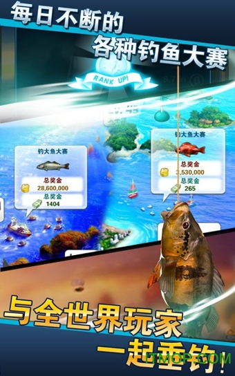 钓鱼发烧友2025最新版本