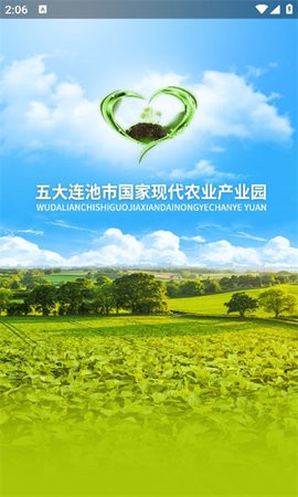 连池豆种