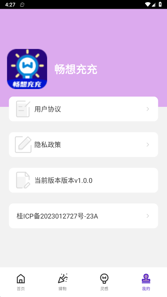 畅想充充
