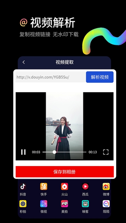 视频去水印大师