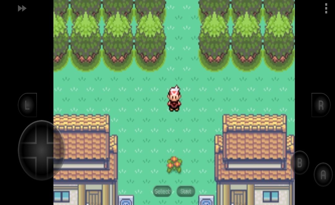 口袋妖怪漆黑的魅影