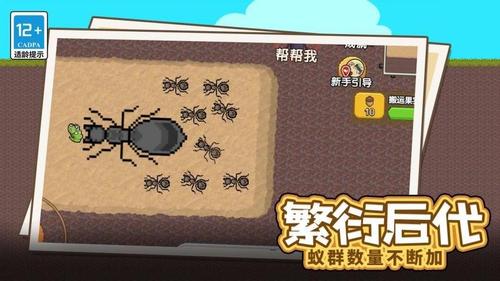 蚂蚁指挥官
