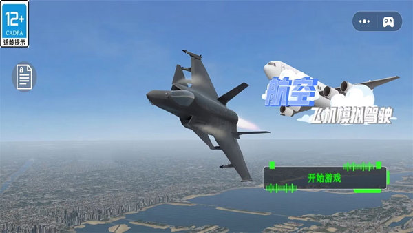 航空飞机模拟驾驶