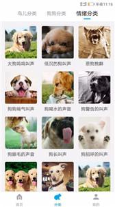 动物翻译器