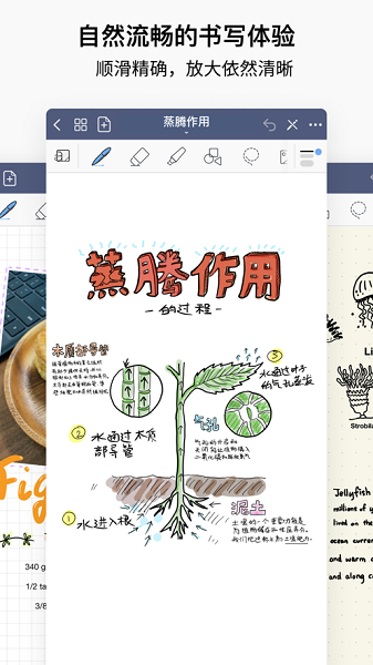 苹果goodnotes5 app
