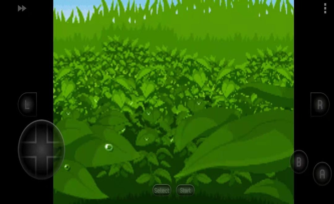 口袋妖怪漆黑的魅影 口袋妖怪漆黑的魅影