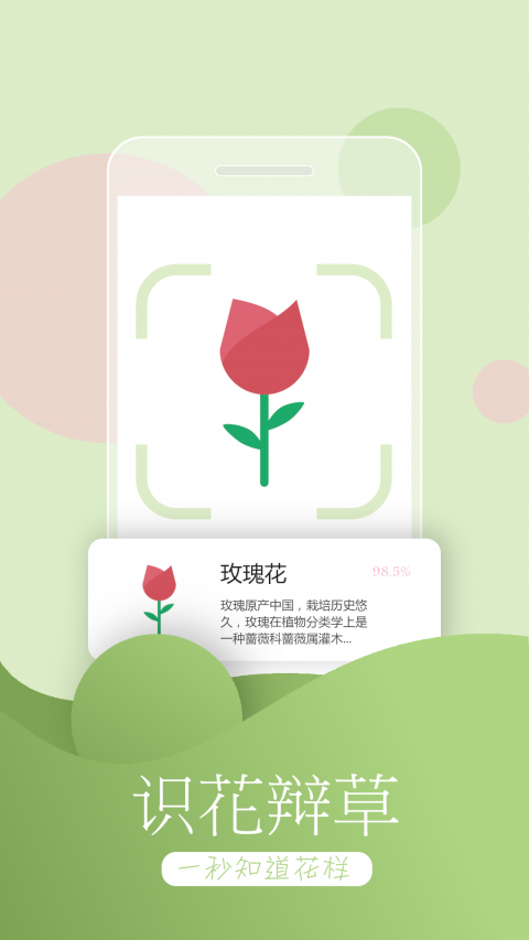 花卉识别图鉴