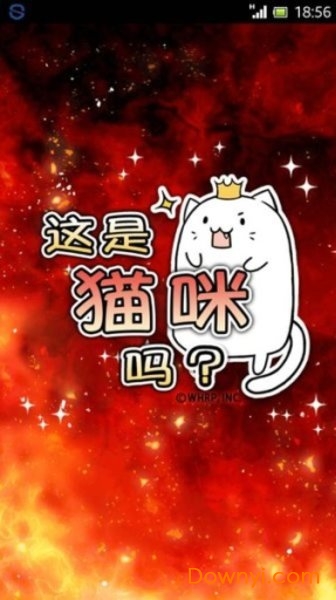 这是喵咪吗