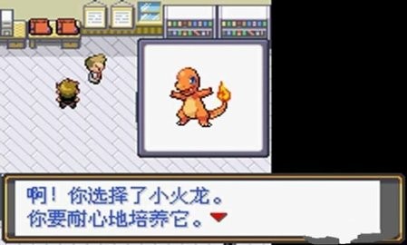 口袋妖怪 最后的火红