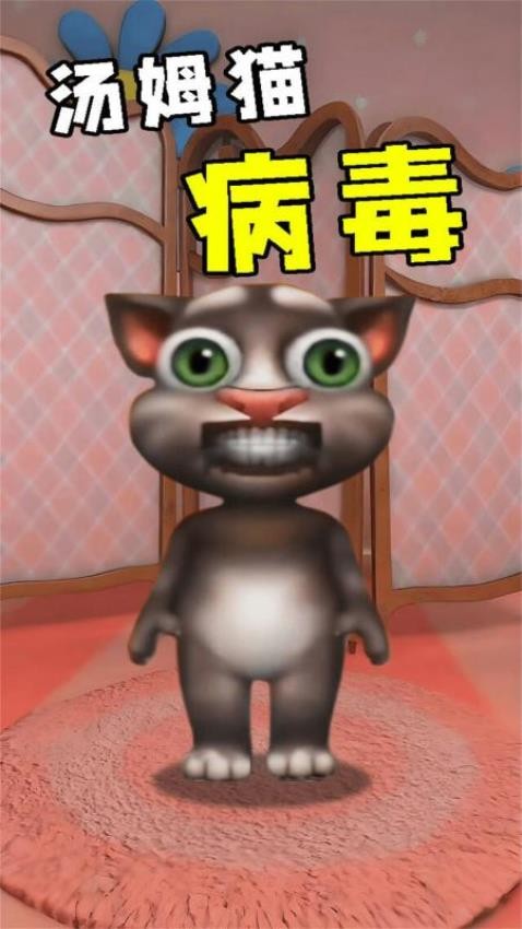 会说的宠物猫