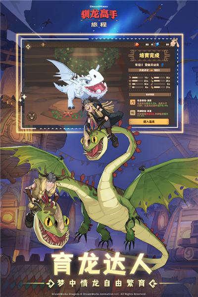驯龙高手:旅程