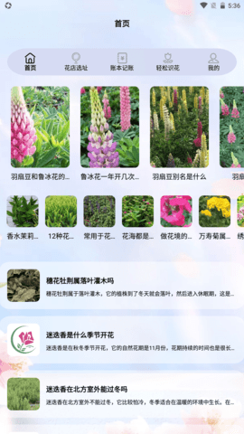 我要教你开花店