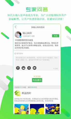 雅恏 雅恏