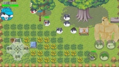 狗头卡包无限抽卡