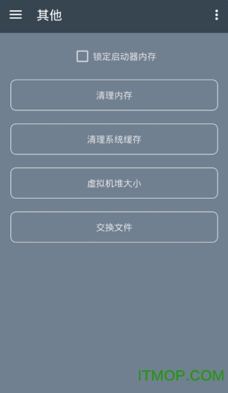 RAM Manager Pro中文版