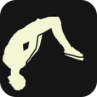 疯狂后空翻2正式版(Backflip Madness 2)