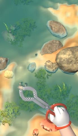 赶海之王 赶海之王