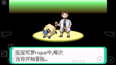 口袋妖怪 rogue