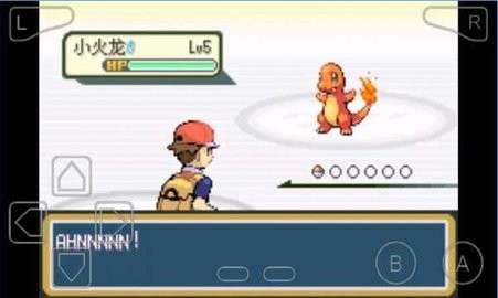 口袋妖怪：火红版