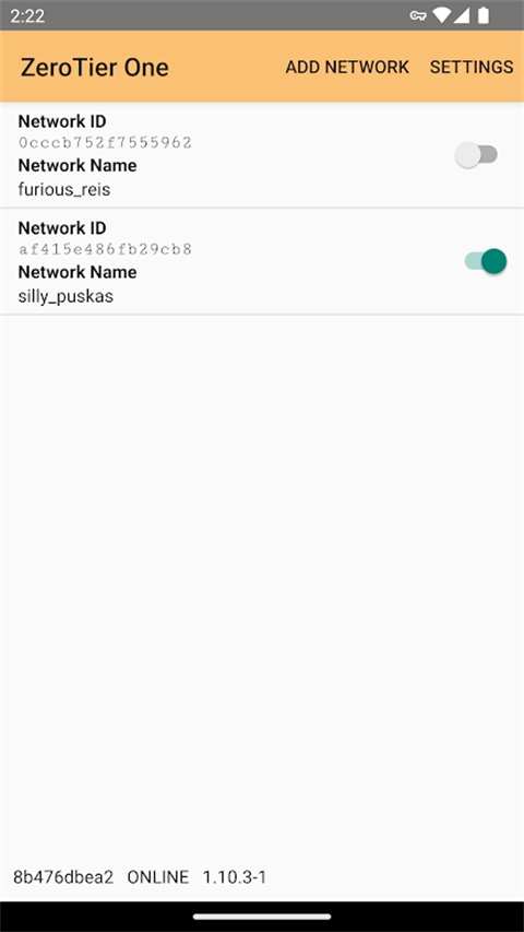 Zerotier One(虚拟局域网搭建工具) v1.16.01 安卓版