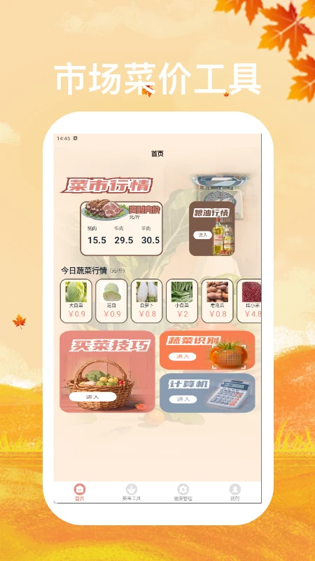 大姨妈极简版记录