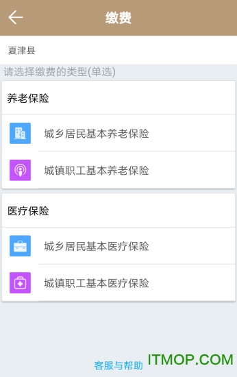 山东夏津人社ios