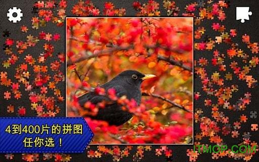 史诗拼图内购破解版中文版(Jigsaw Puzzle Epic)