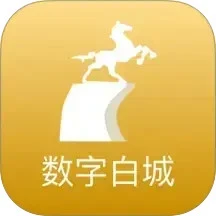 数字白城