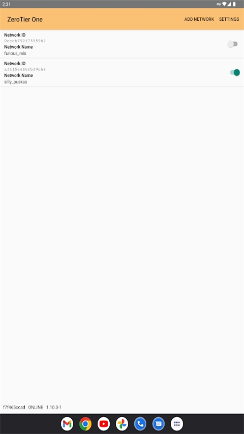 Zerotier One(虚拟局域网搭建工具) v1.16.01 安卓版