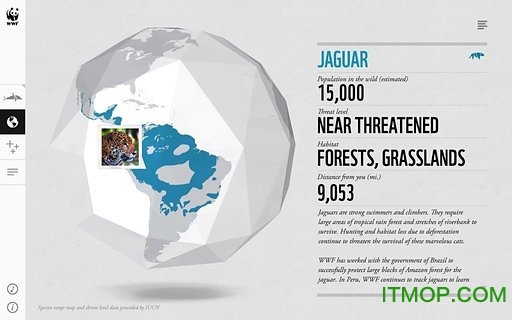 WWF Togethe(野生动物折纸)