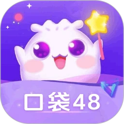 口袋48