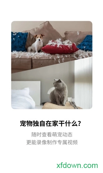 腾讯慧看家 腾讯慧看家