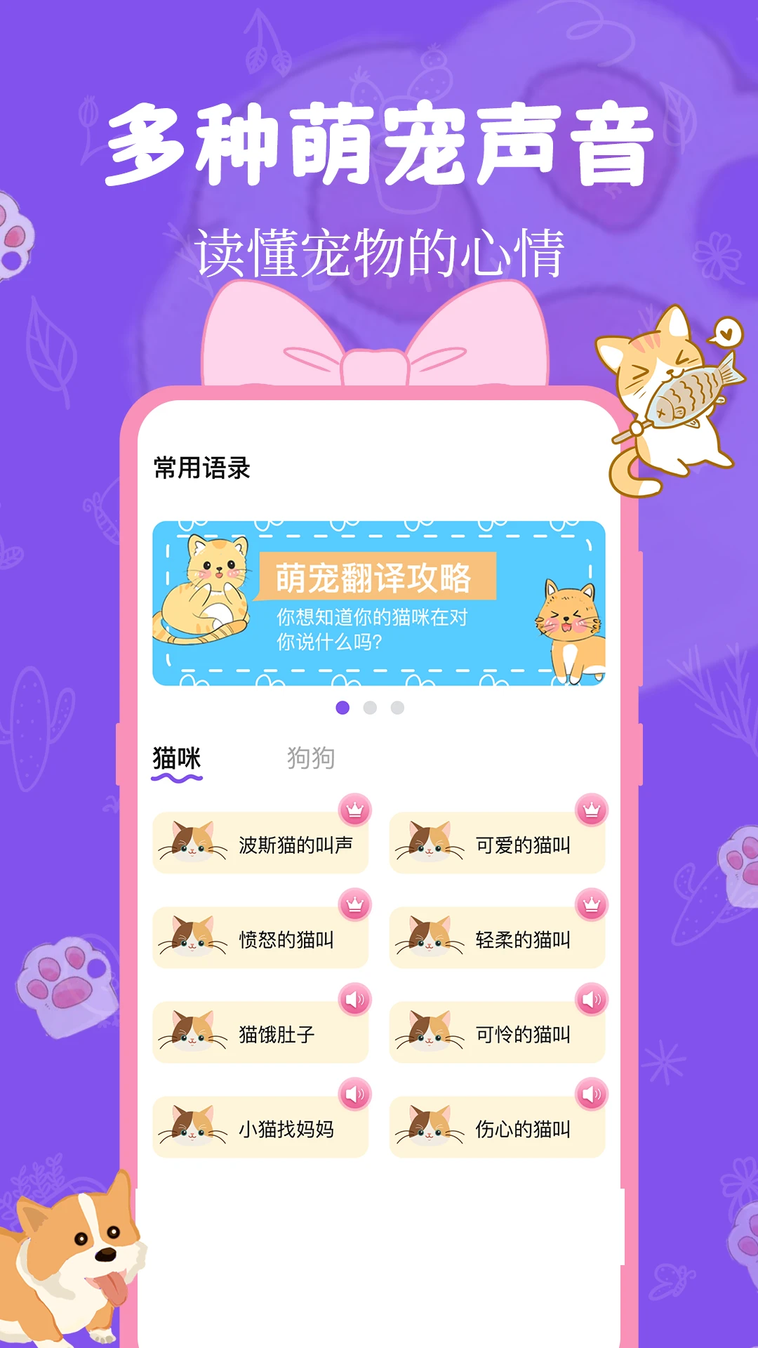 猫狗翻译器
