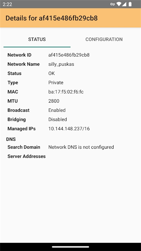Zerotier One(虚拟局域网搭建工具) v1.16.01 安卓版