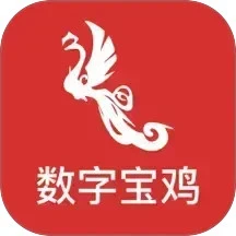 数字宝鸡