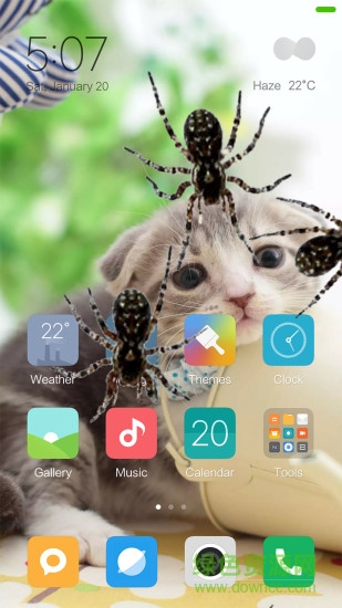 3d蜘蛛恶作剧spider in phone prank