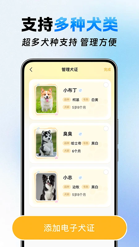 犬证办理助手
