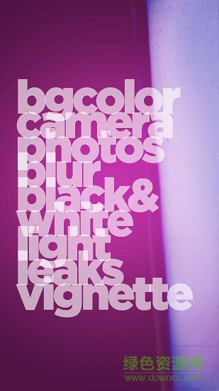 海报文字(poster text)