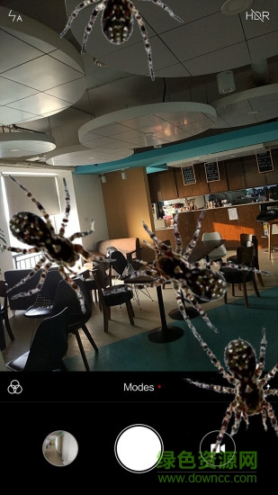 3d蜘蛛恶作剧spider in phone prank