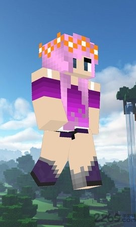 我的世界盒子皮肤编辑