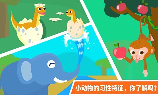 奇妙的动物家庭