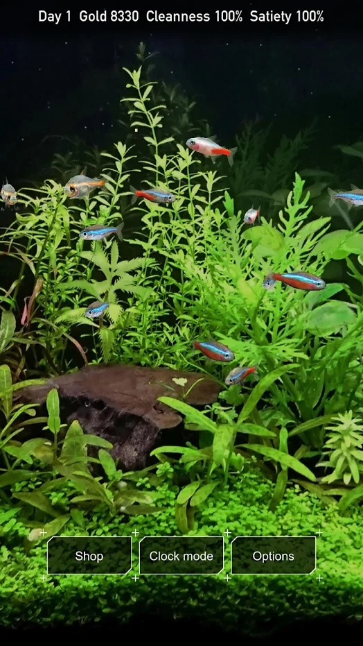 迷你水族热带鱼缸