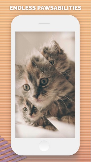 SplitPic SplitPic