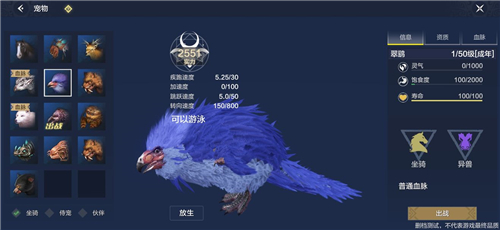 翠鹞