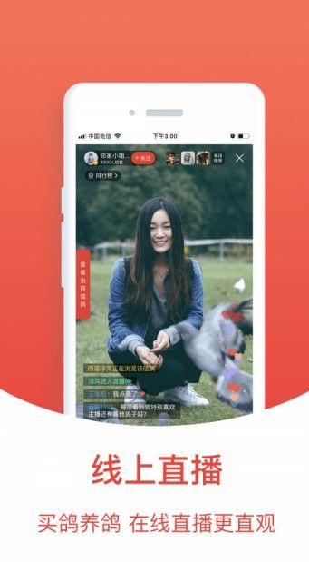 搜鸽天下一查信鸽成绩