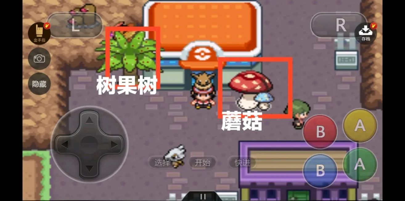 口袋妖怪去吧伊布金手指代码