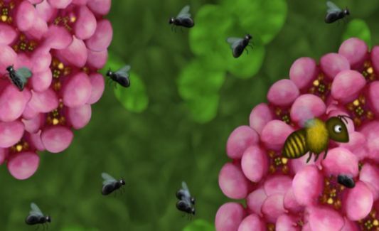 小细菌长大吃完火星吃地 小细菌长大吃完火星吃地